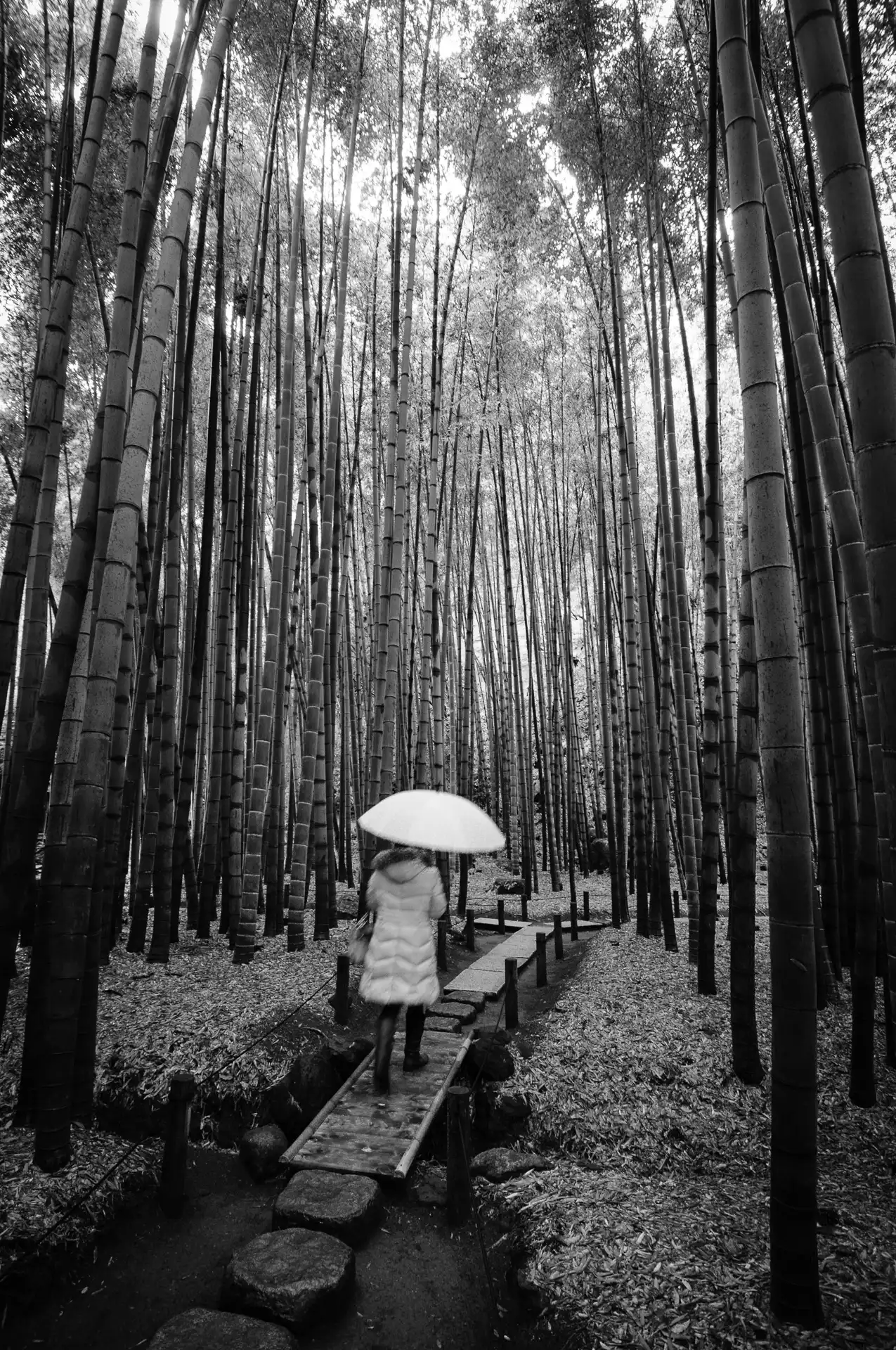 Kamakura - 2