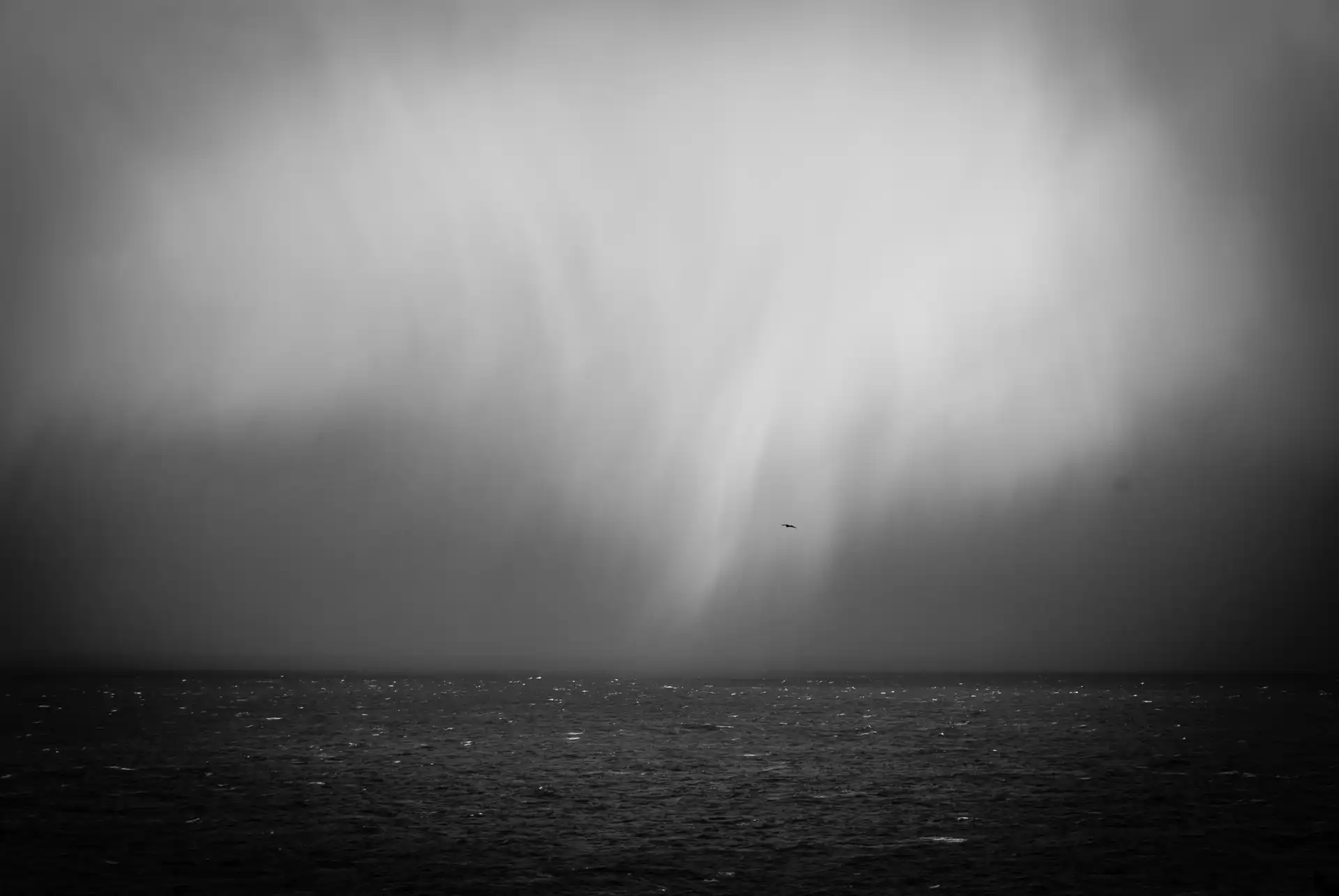 Seascape - 22