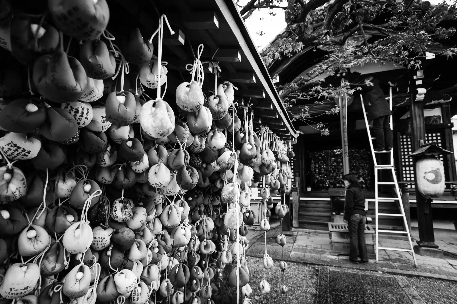 Kyoto - 2