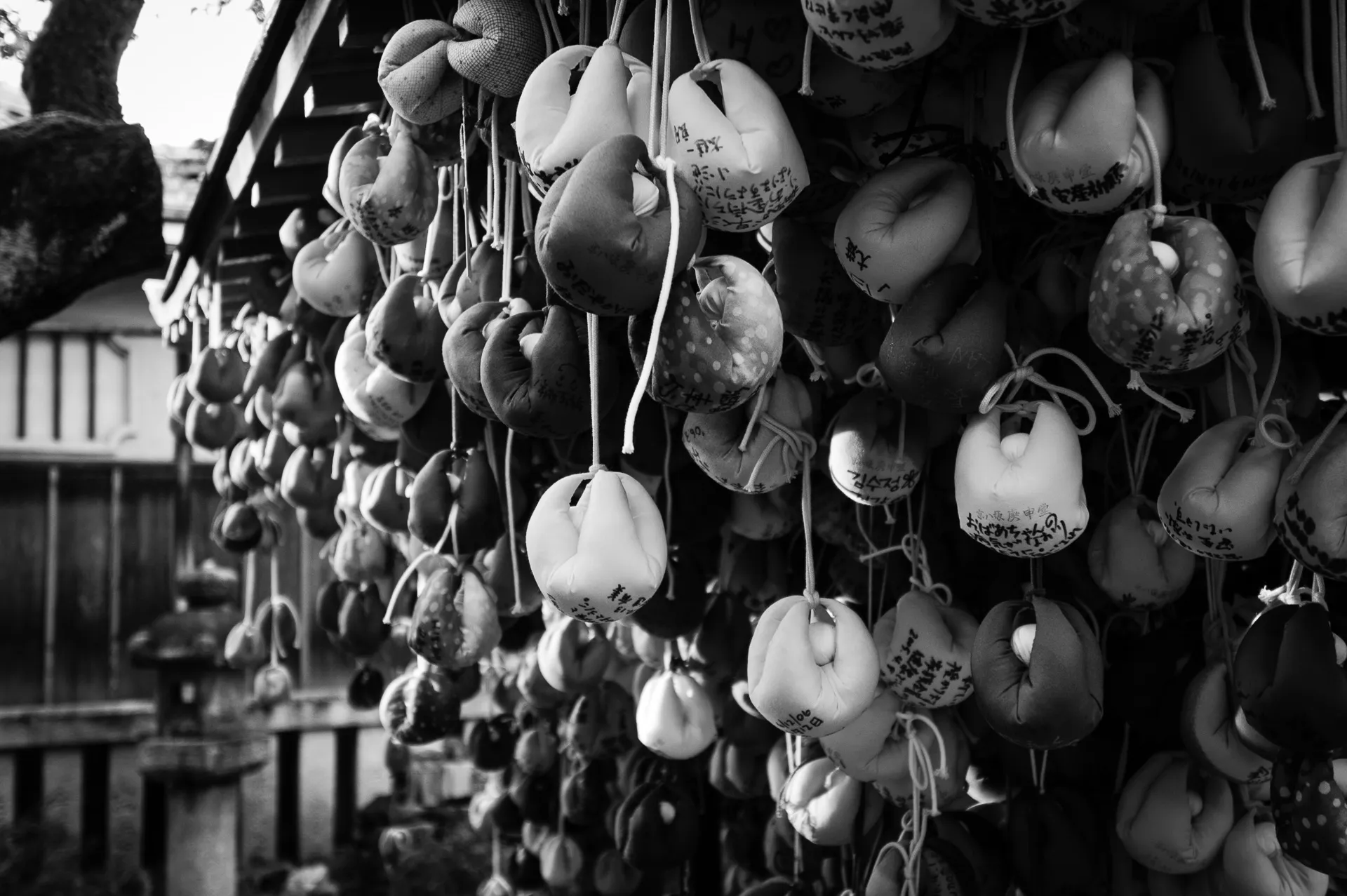 Kyoto - 3