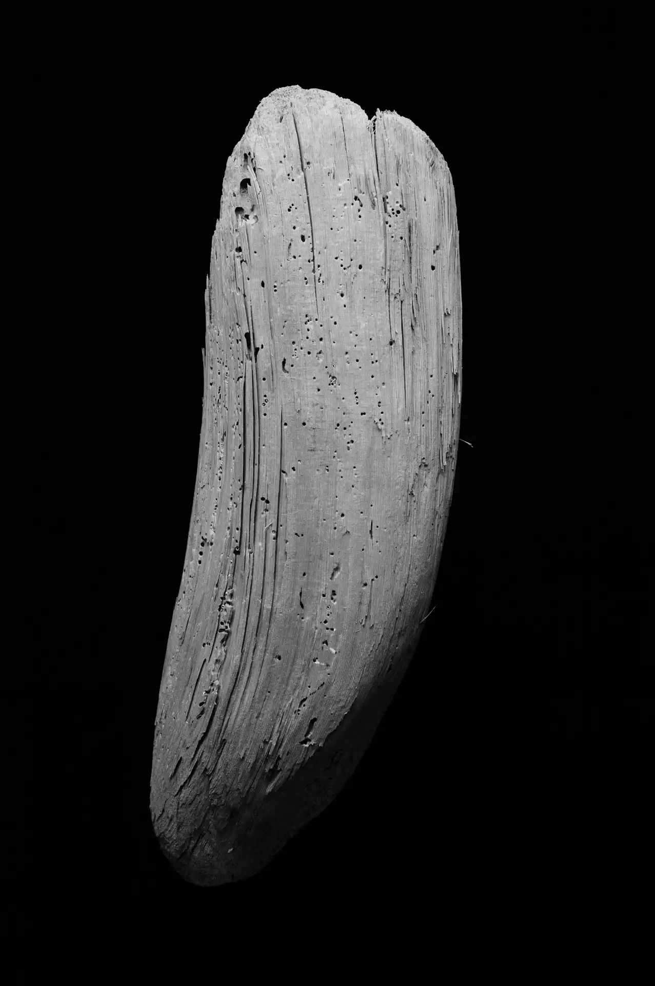 Still Life - 3