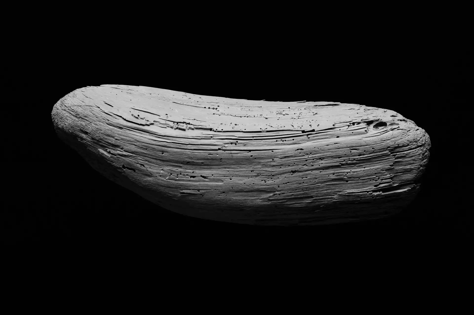 Still Life - 4