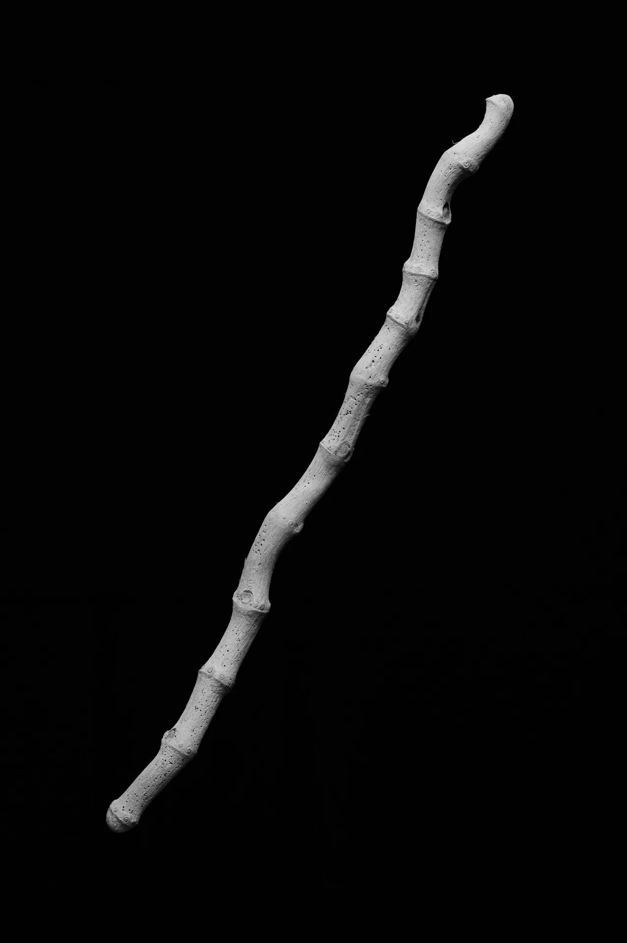 Still Life - 5