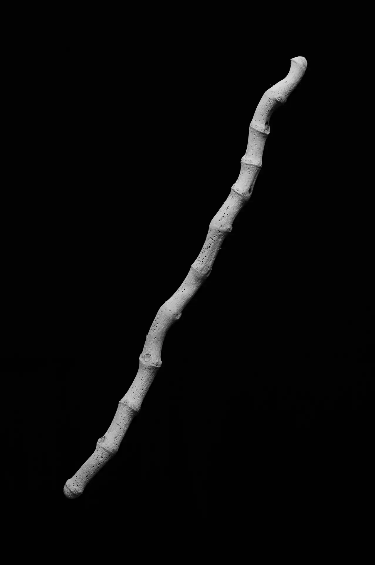 Still Life - 5