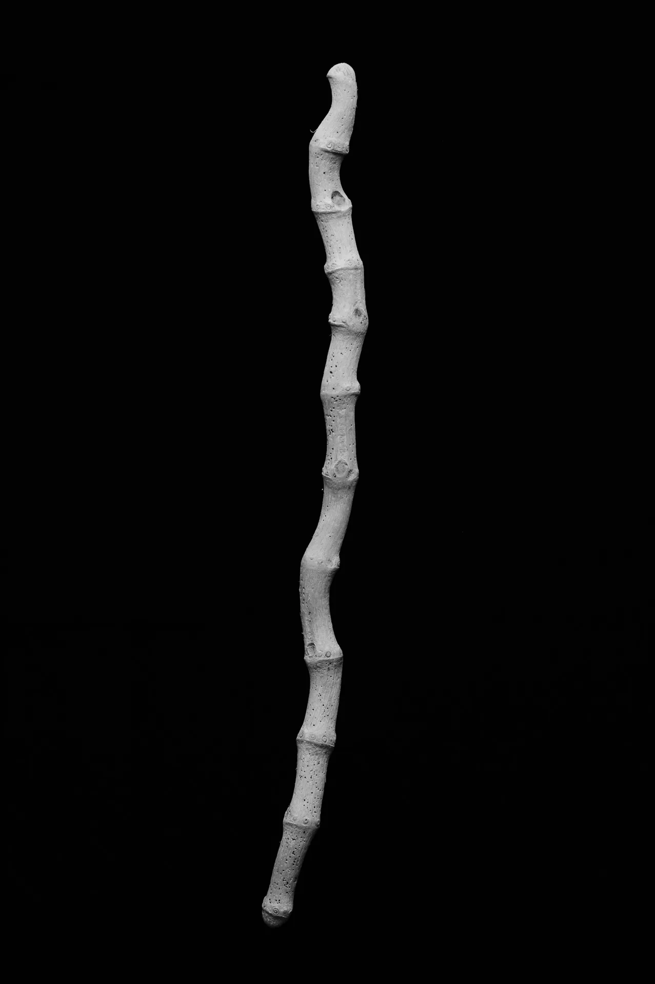 Still Life - 6