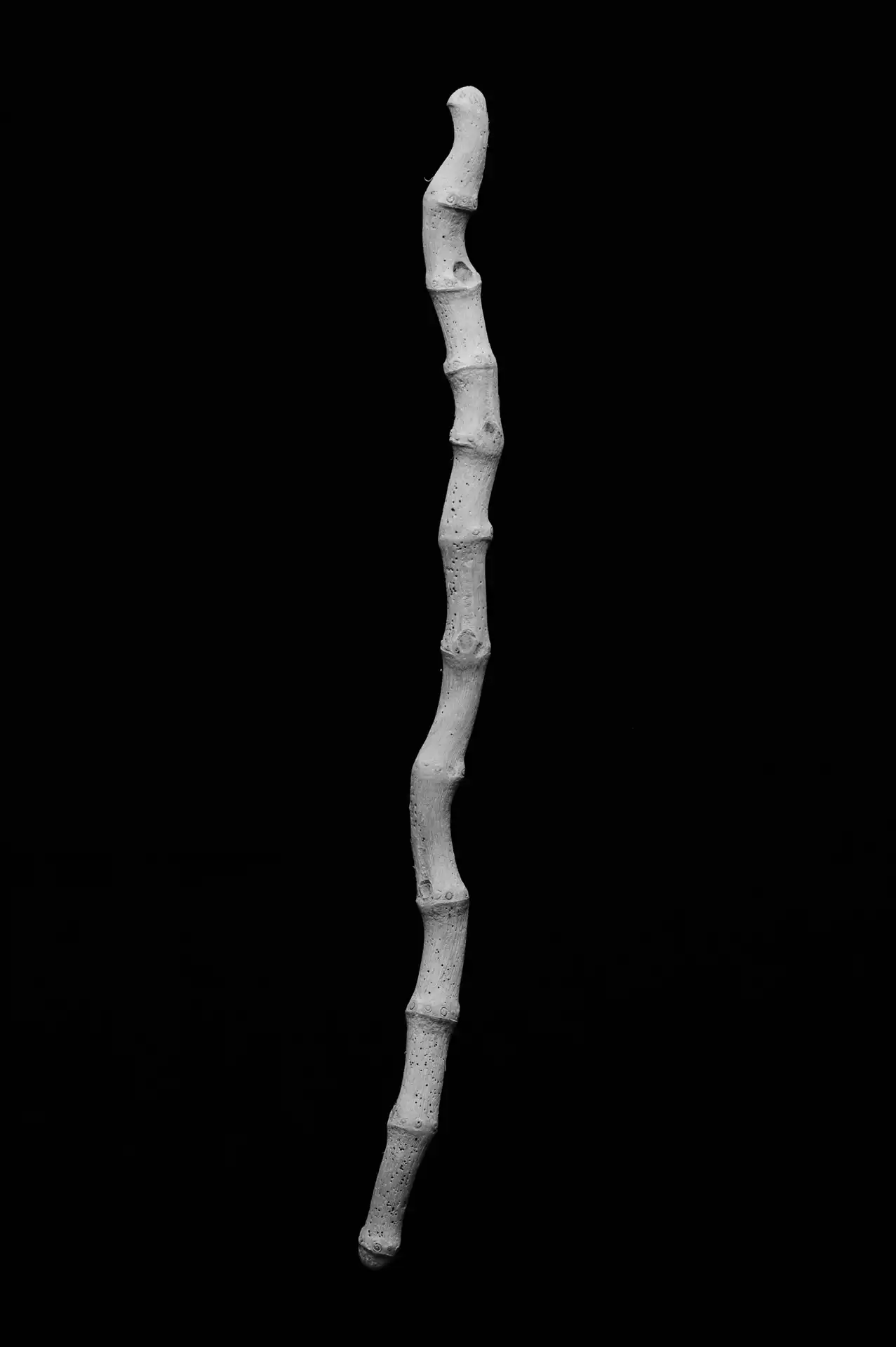 Still Life - 6