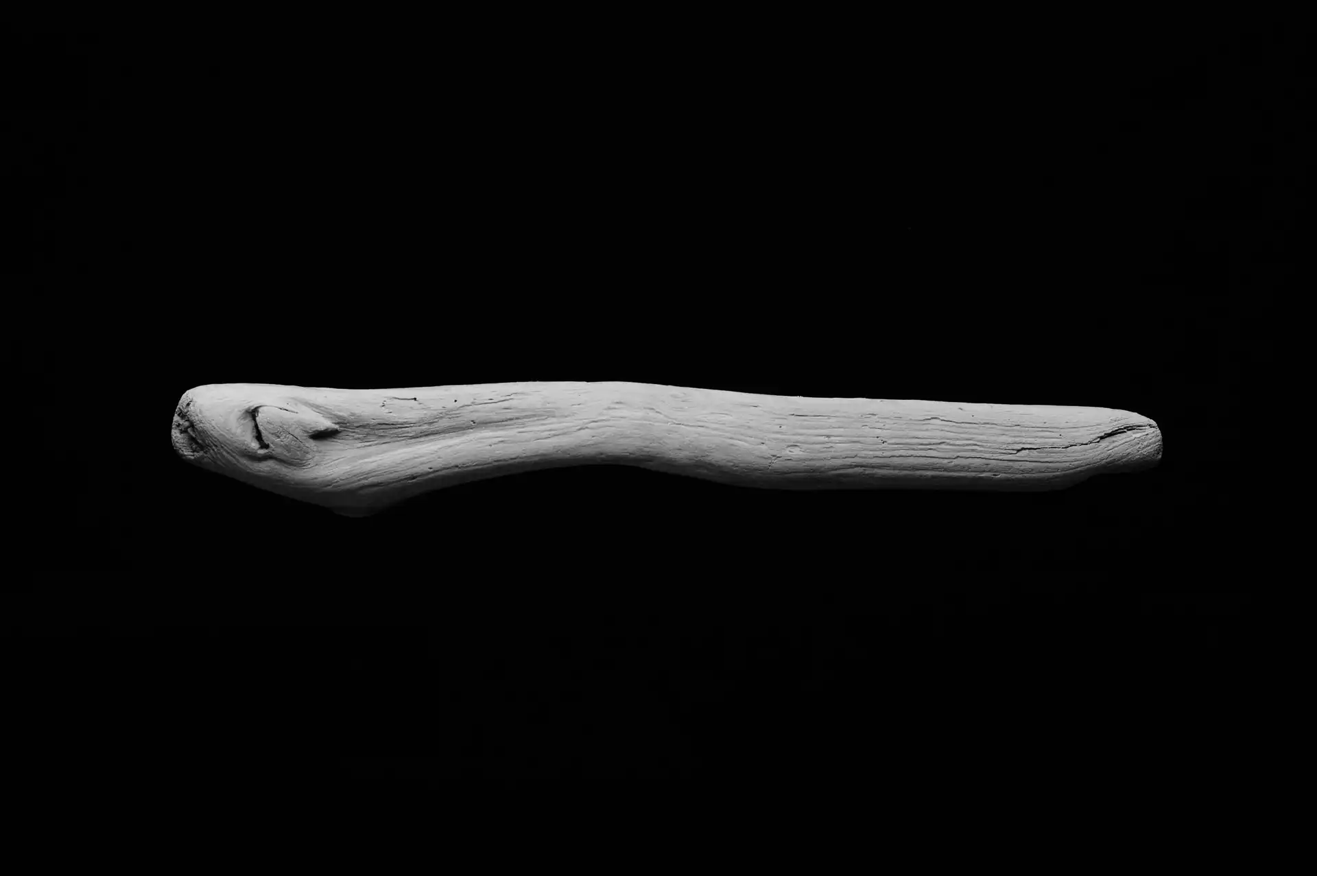 Still Life - 7