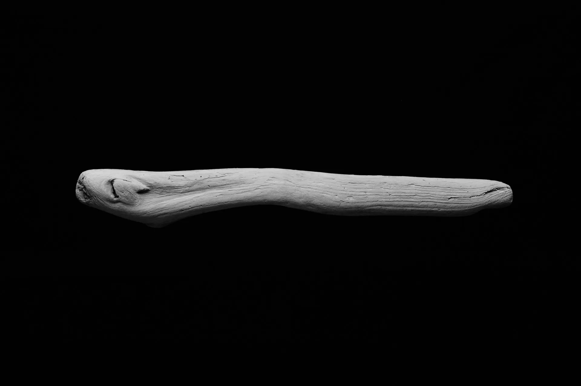 Still Life - 7