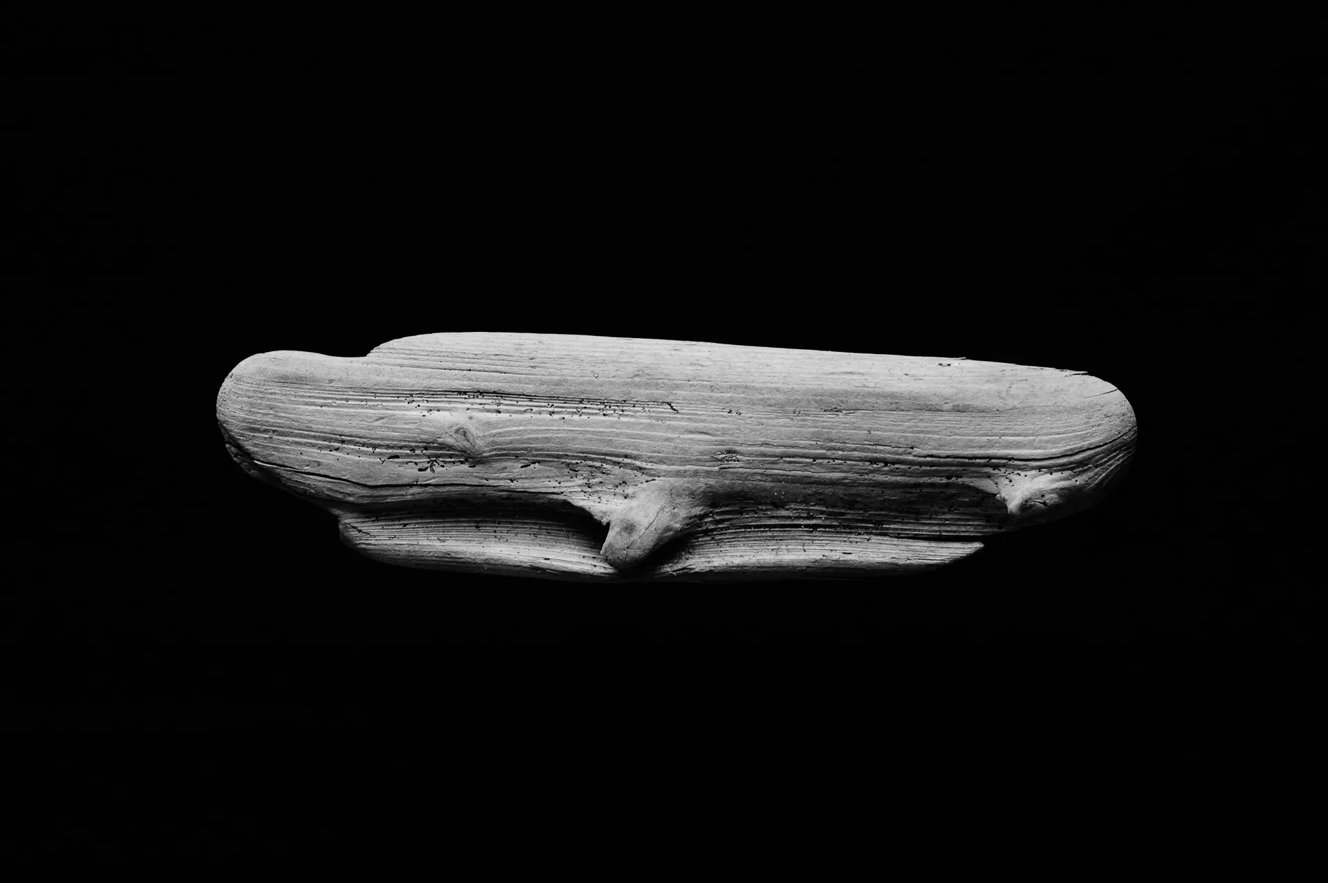 Still Life - 8