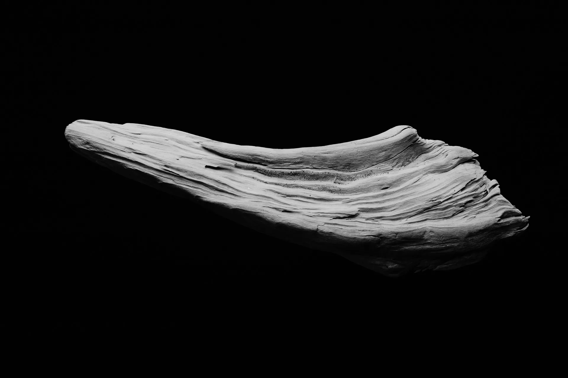 Still Life - 10