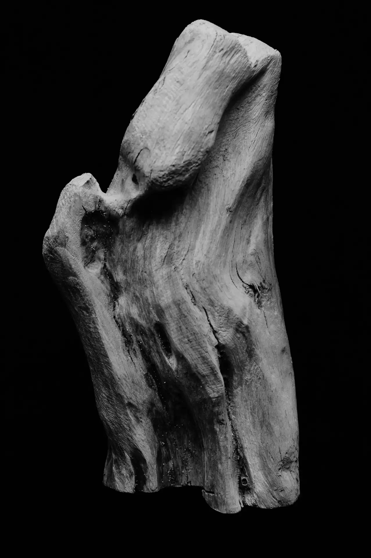 Still Life - 13