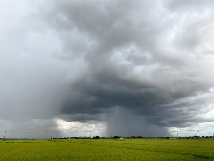 Weather