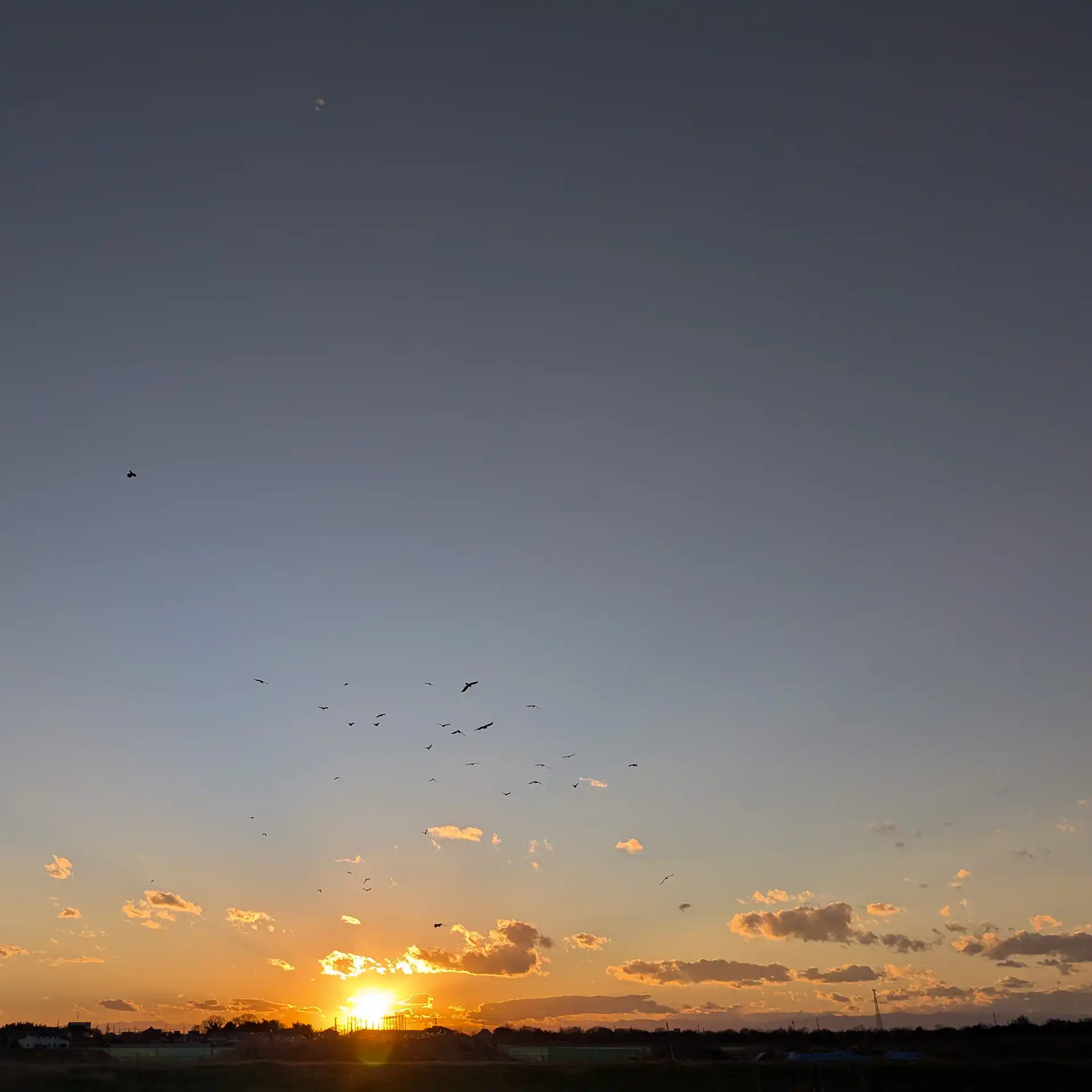 Where the Crows Return - 2