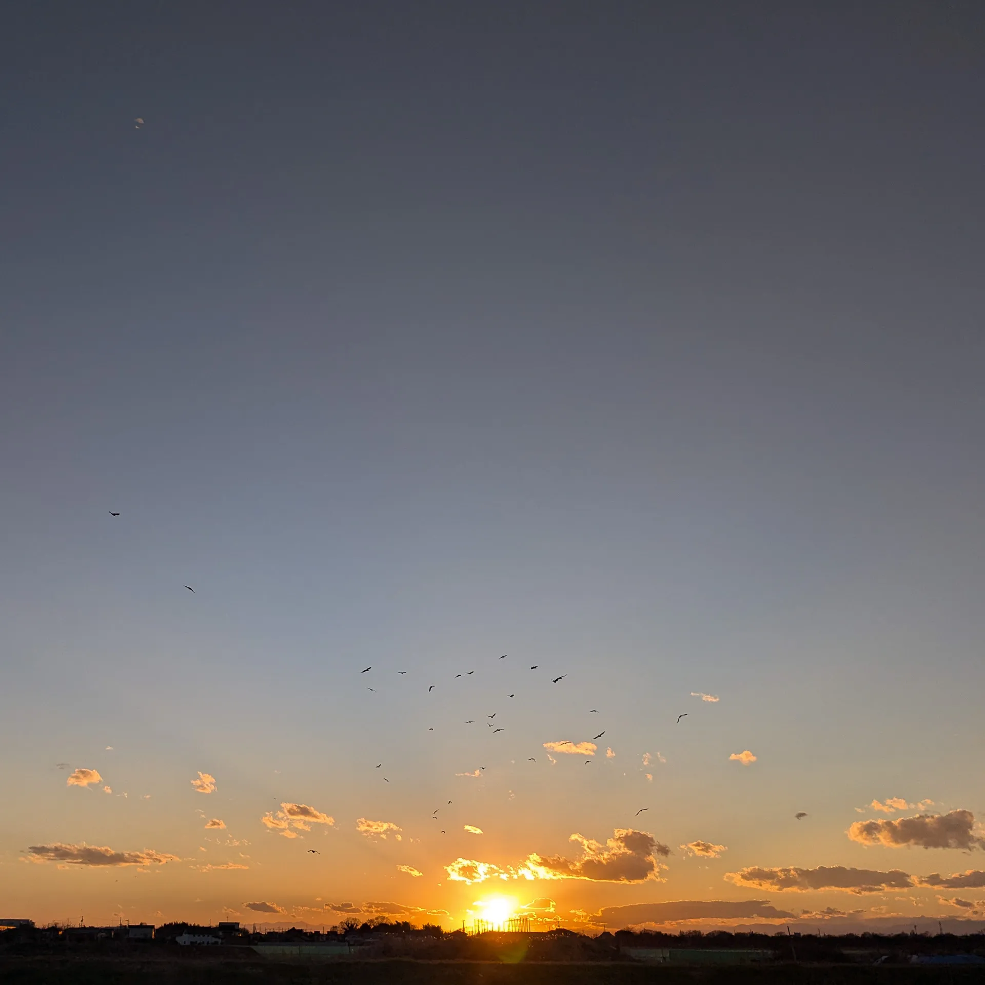 Where the Crows Return - 3