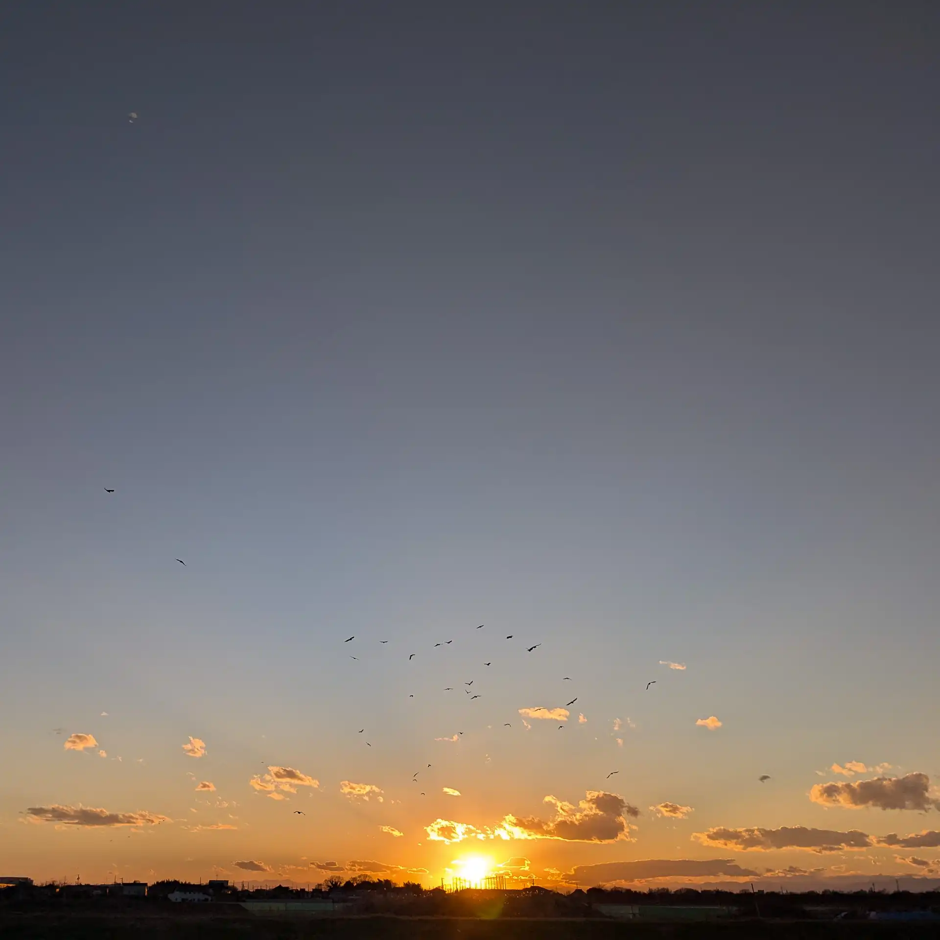Where the Crows Return - 3
