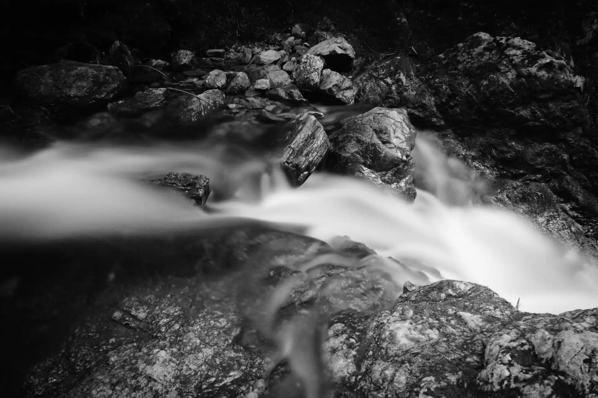 Deep Forest - 1