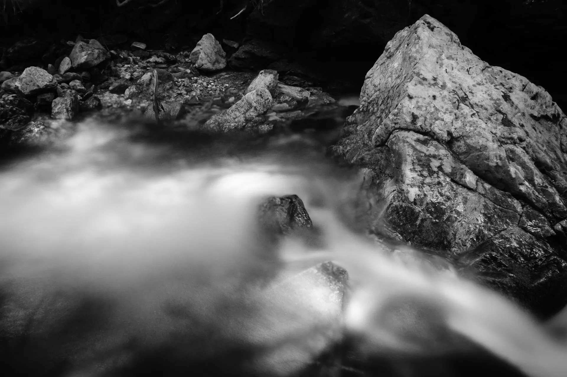 Deep Forest - 2