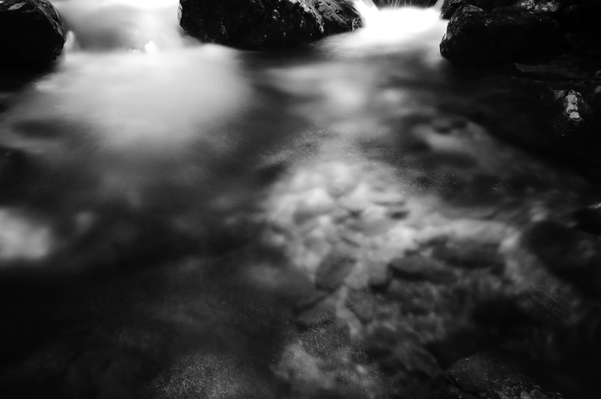 Deep Forest - 4