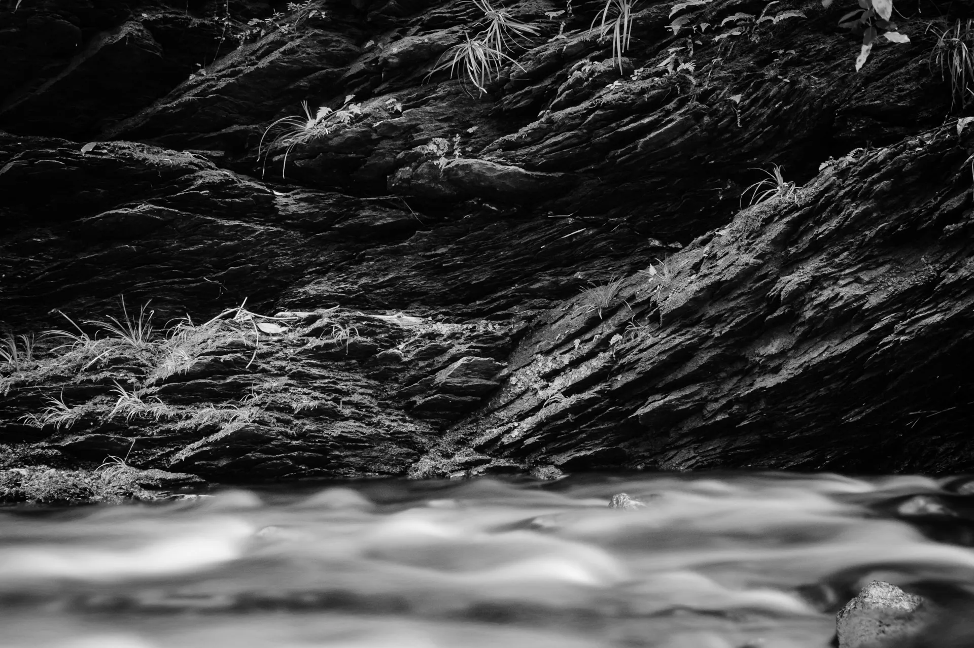Deep Forest - 6