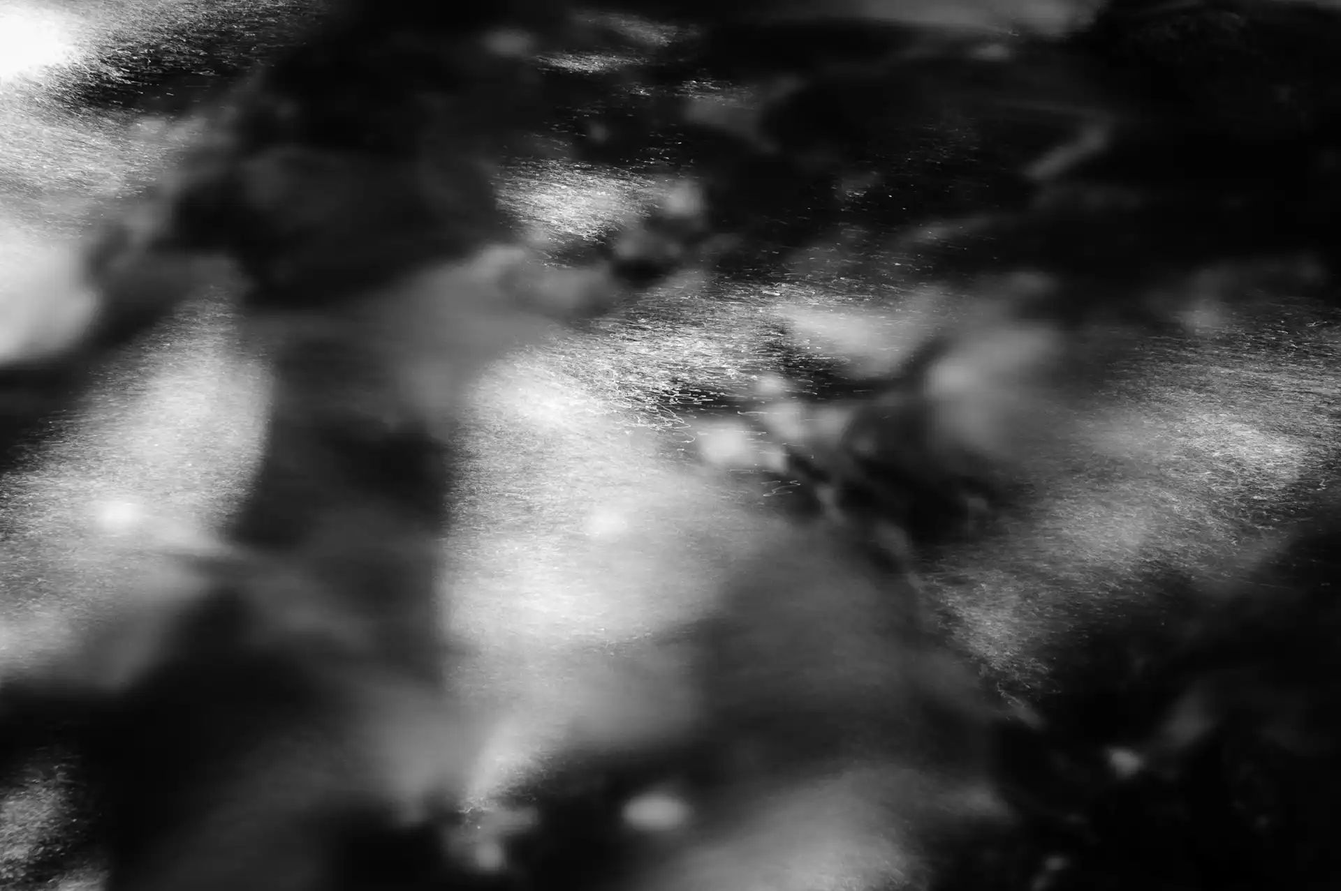 Deep Forest - 7