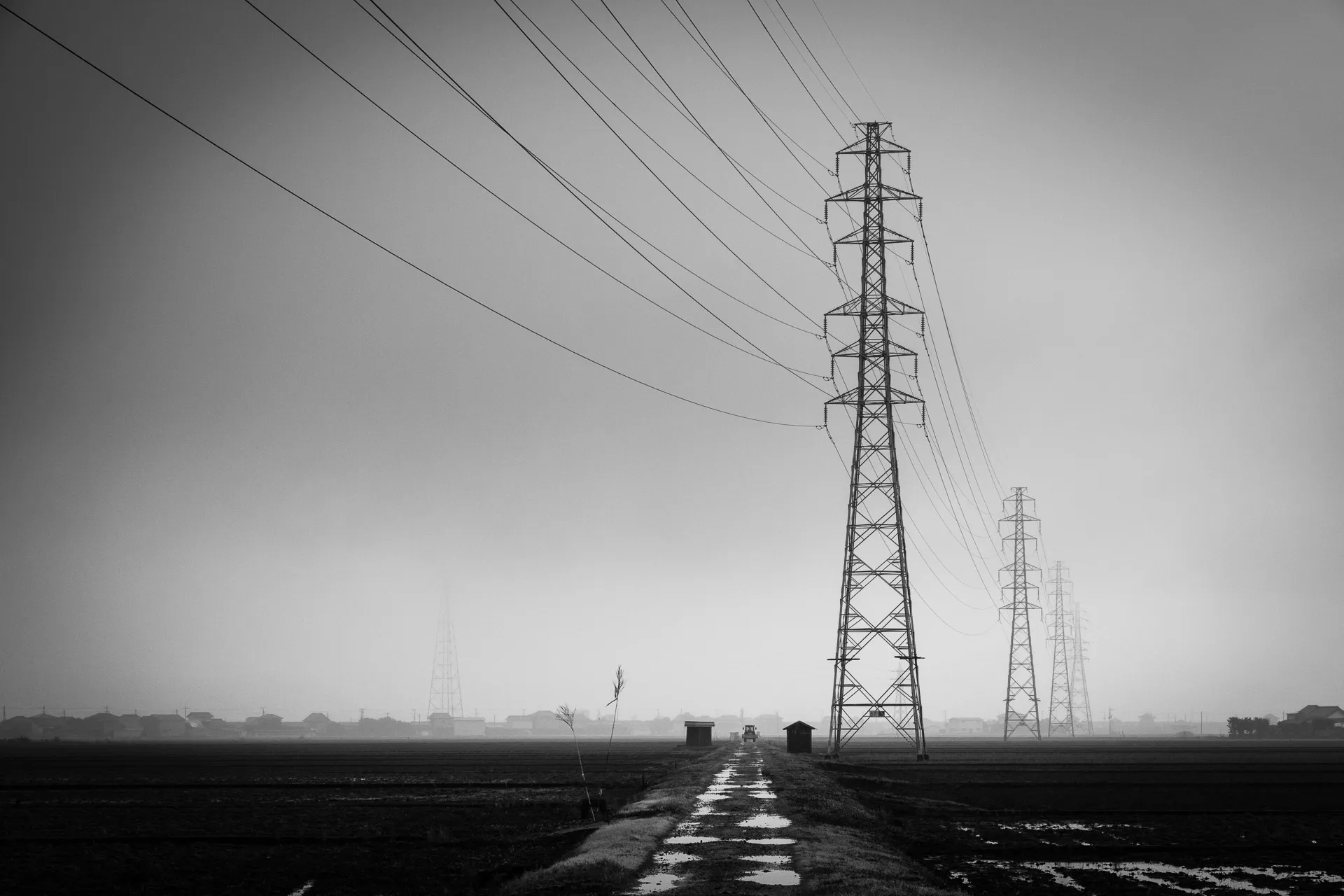 Landscape - 1