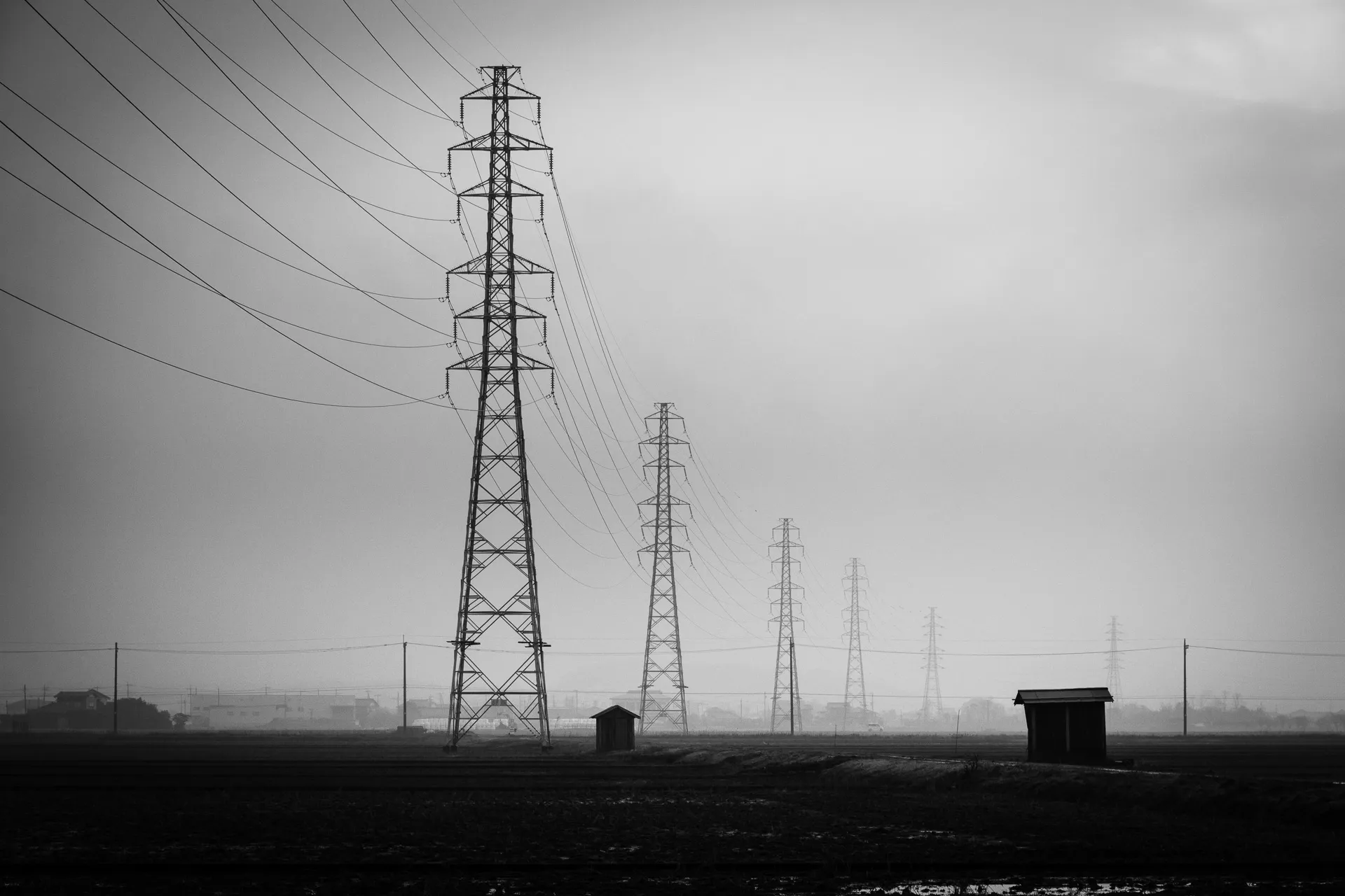 Landscape - 4