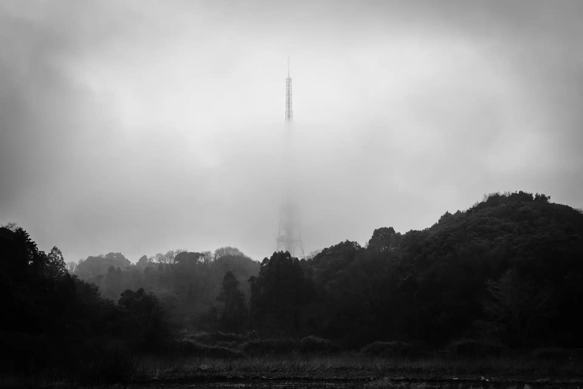 Landscape - 5