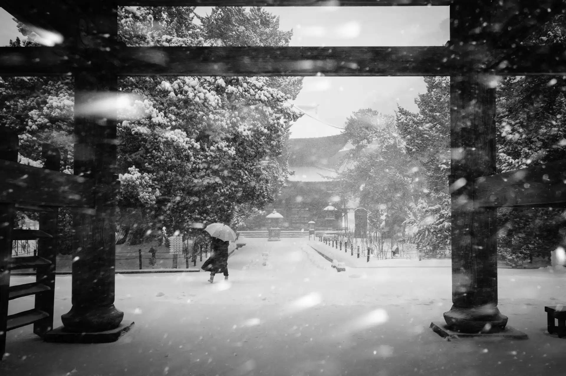 Kamakura - 3
