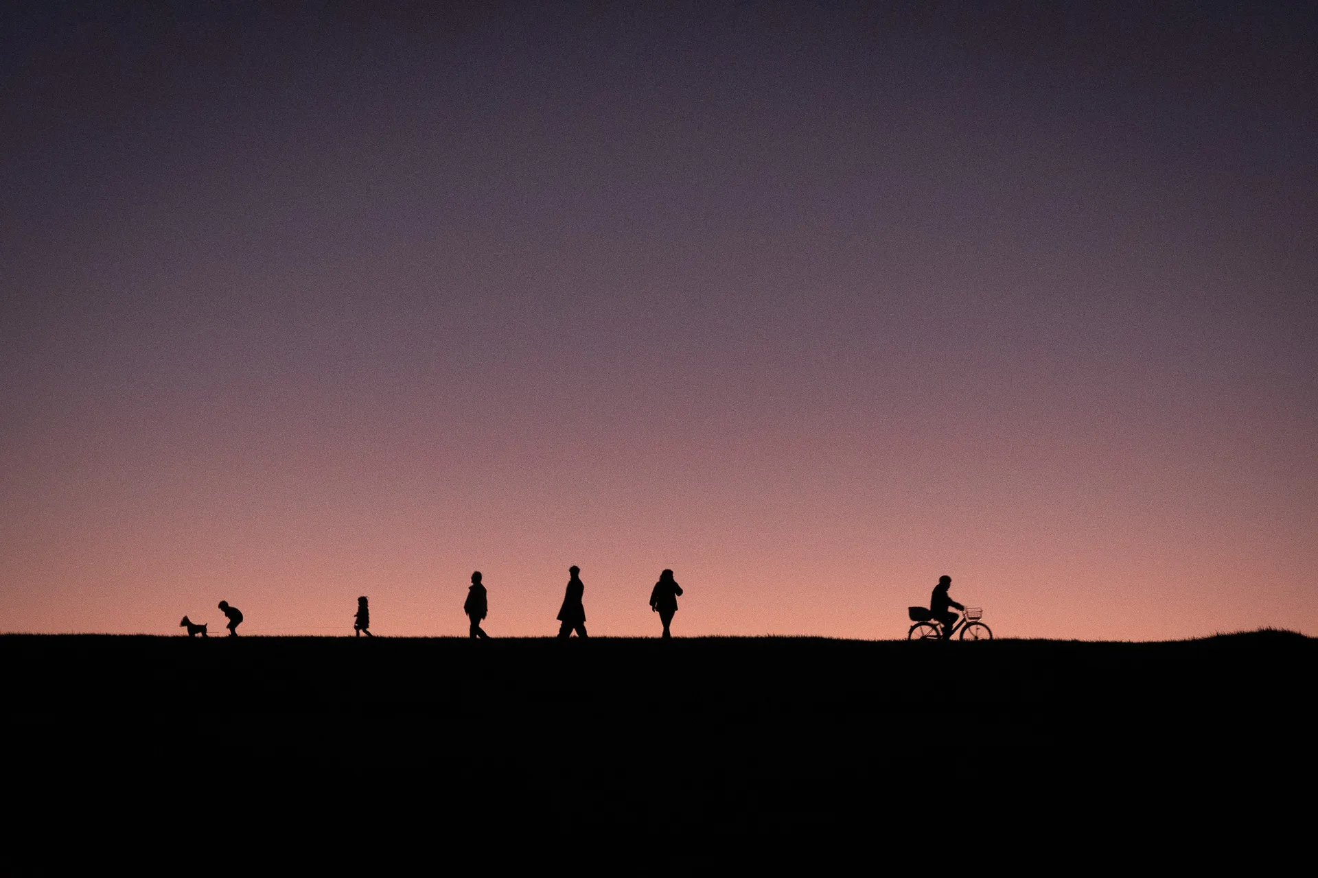 Twilight Silhouette - 2