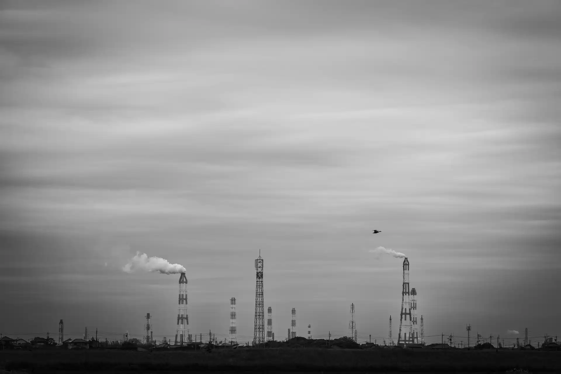 Landscape - 11