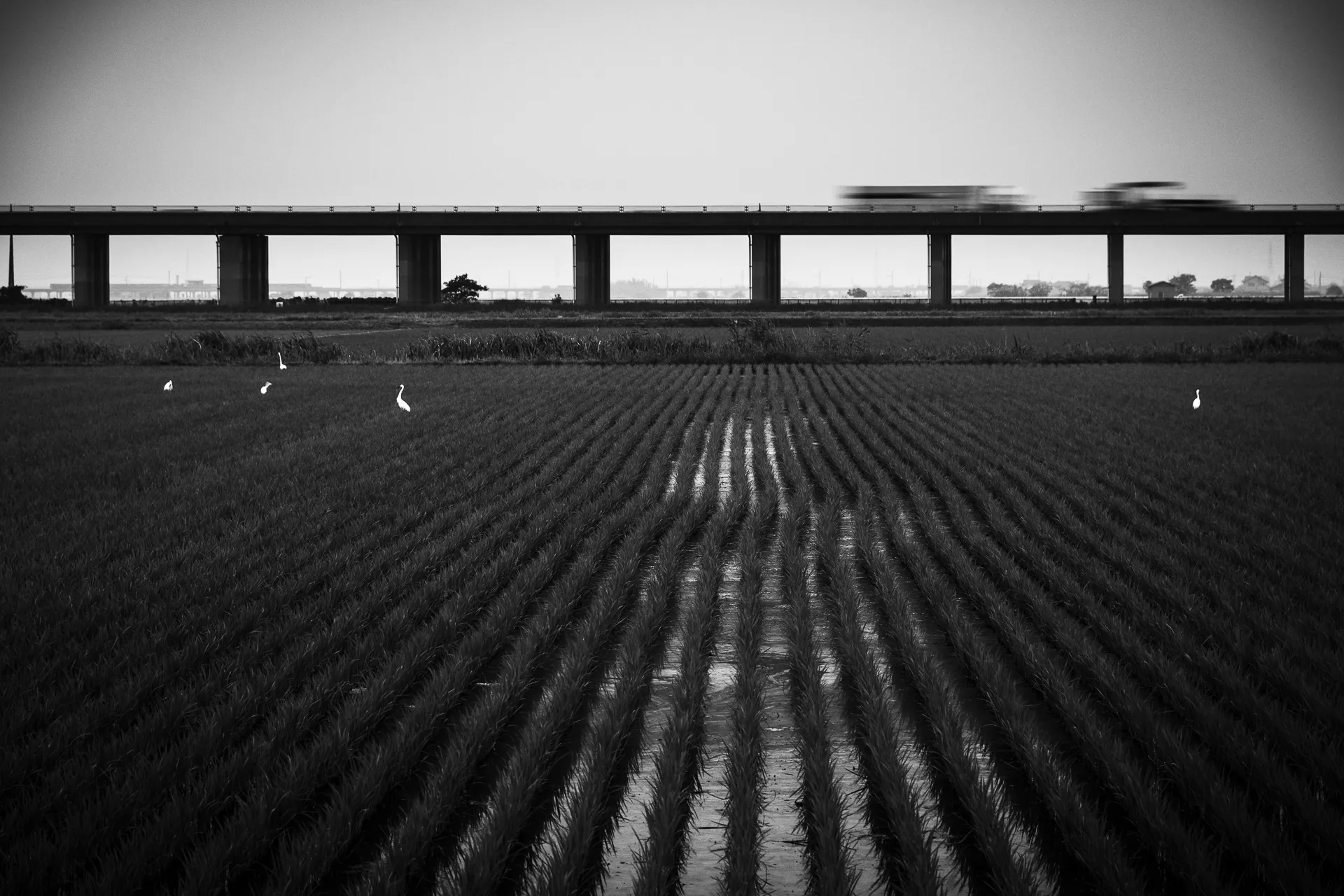 Landscape - 13