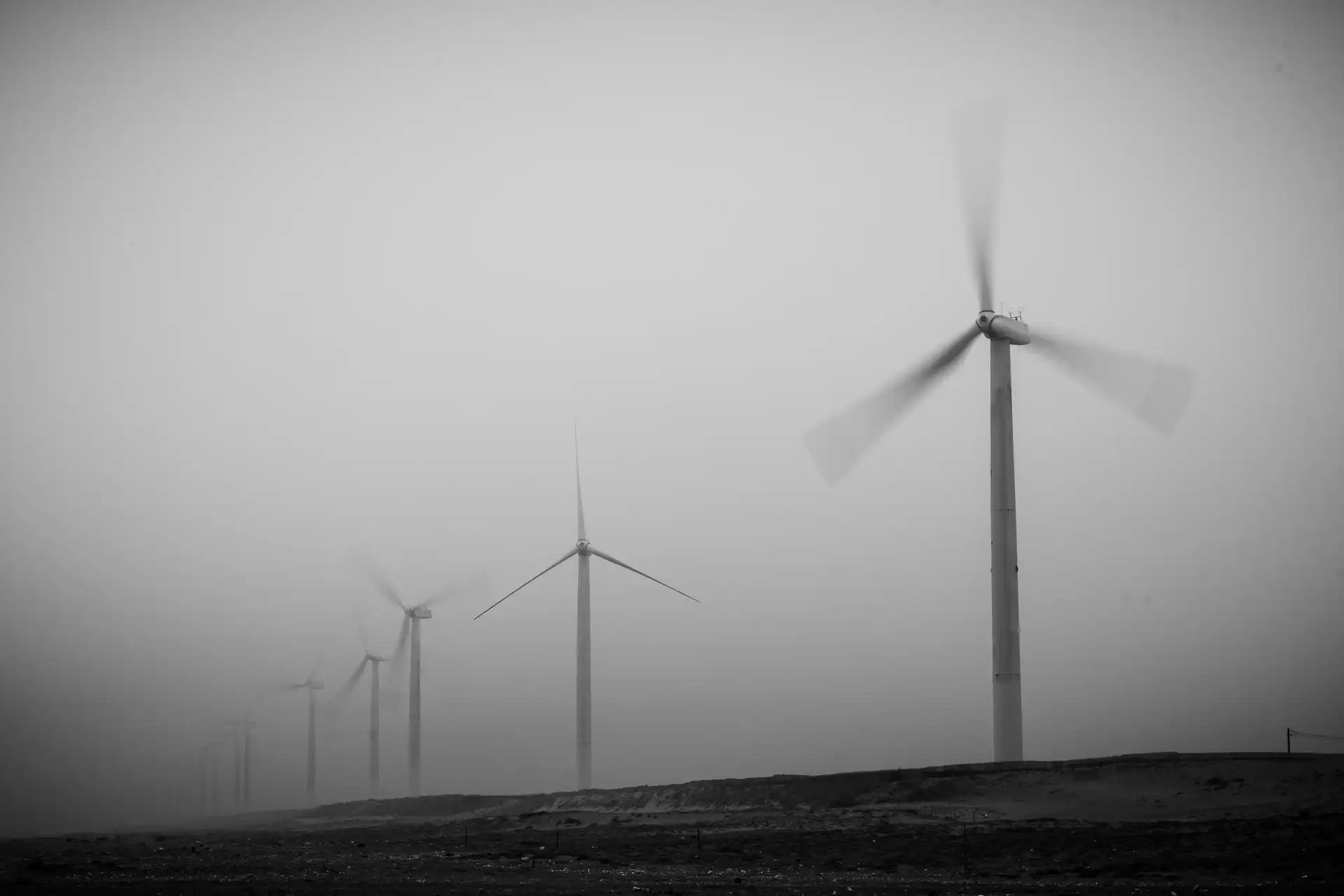 Landscape - 15