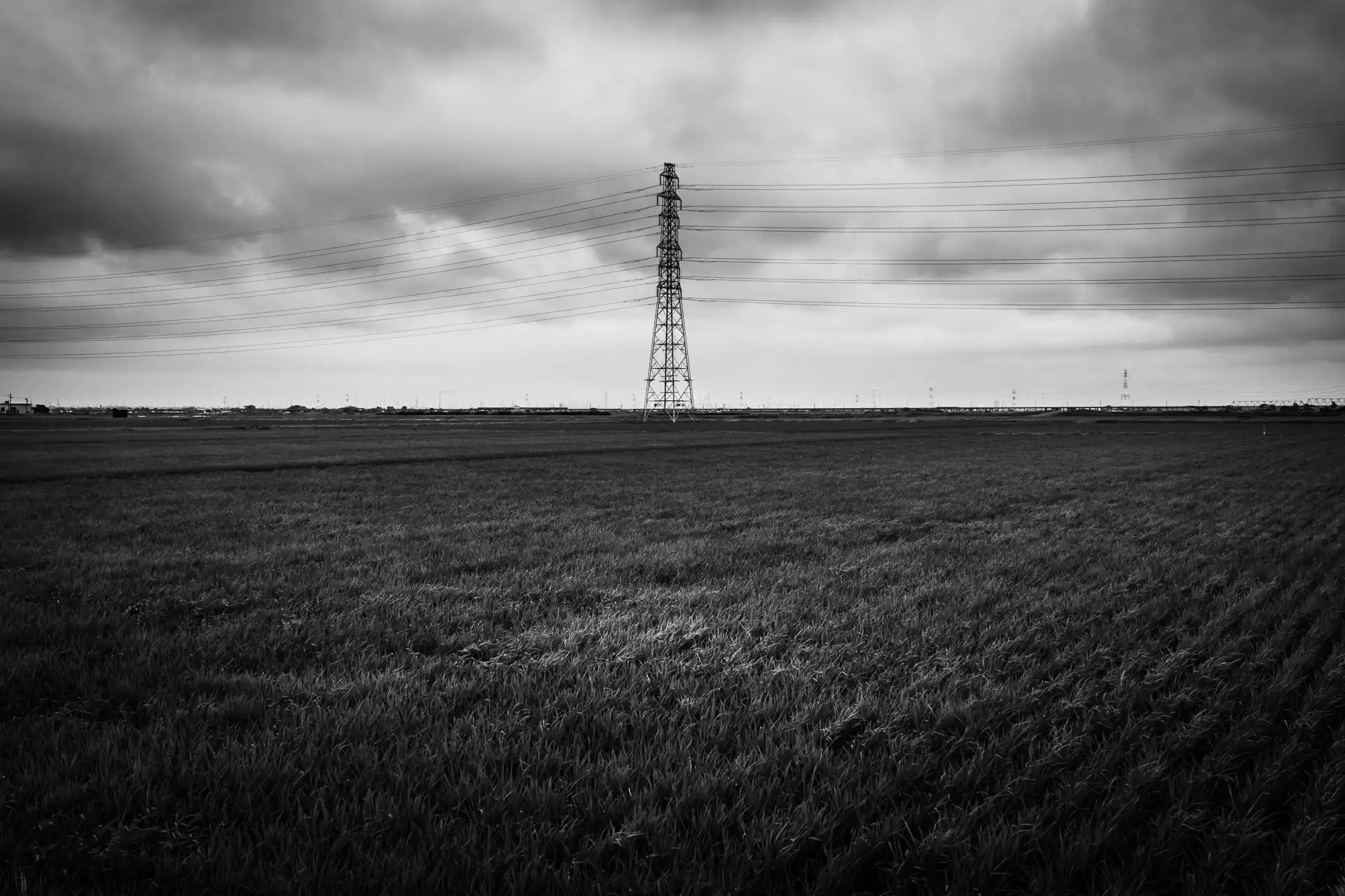 Landscape - 16