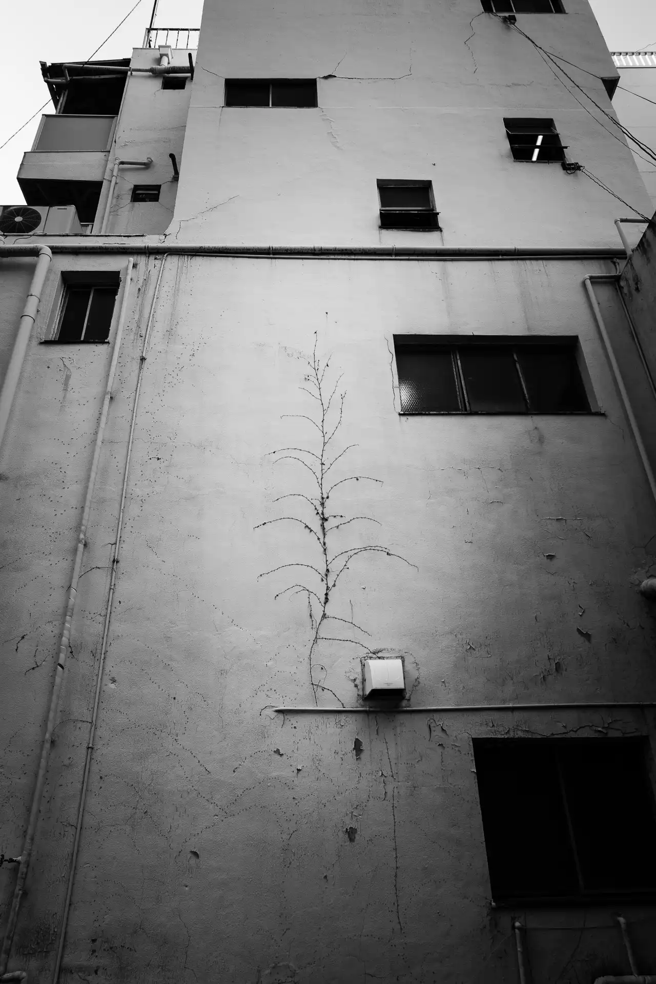 Tokyo - 5