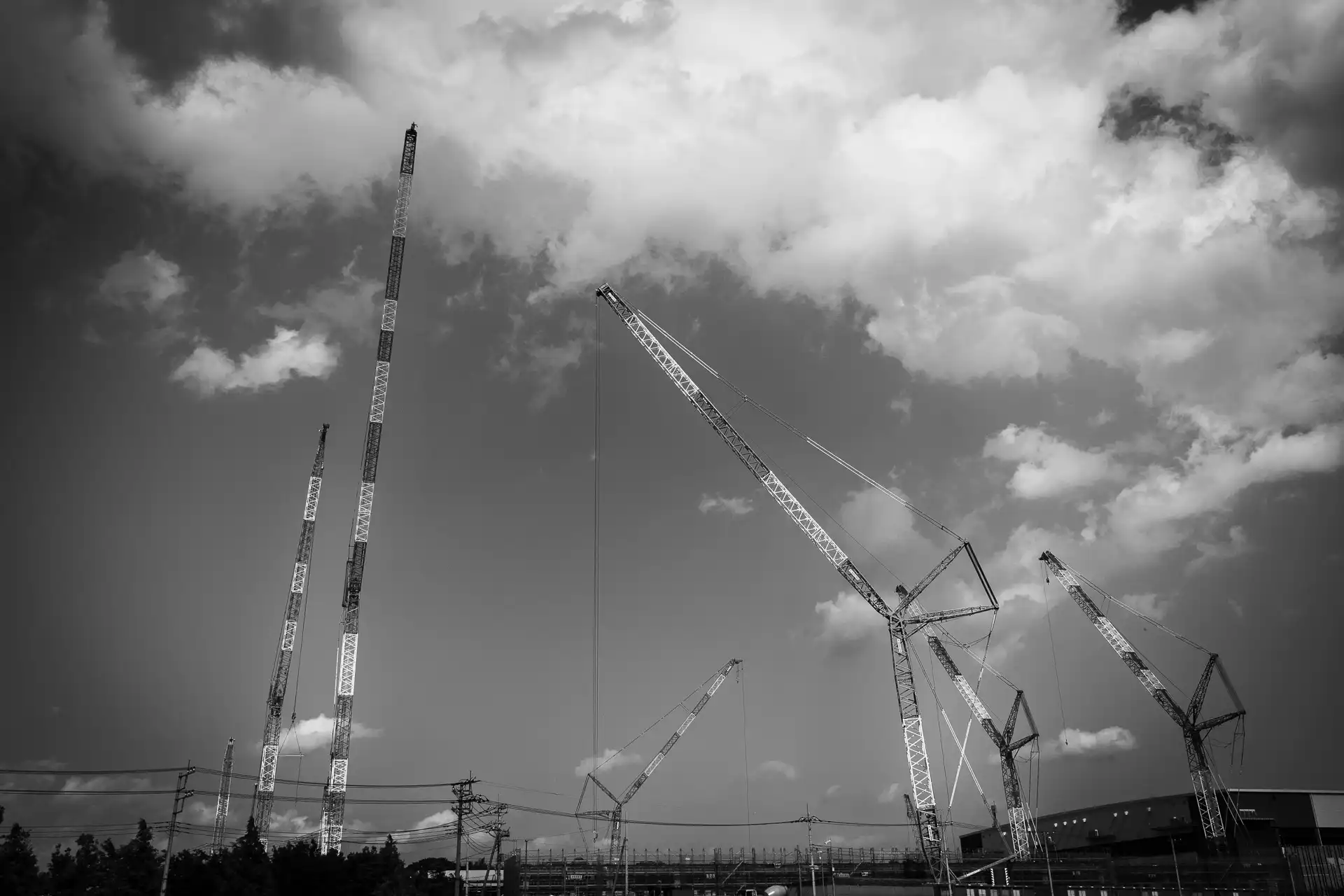 Landscape - 22