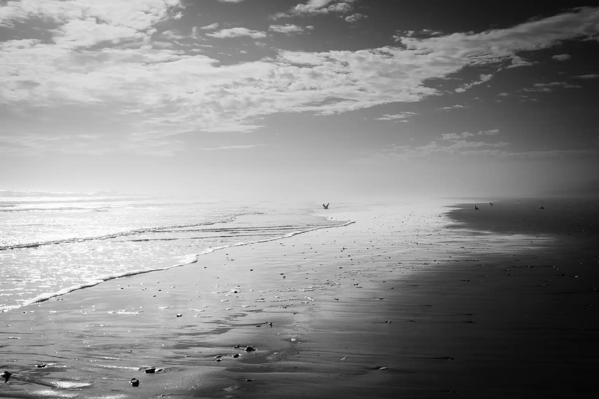 Seascape - 63