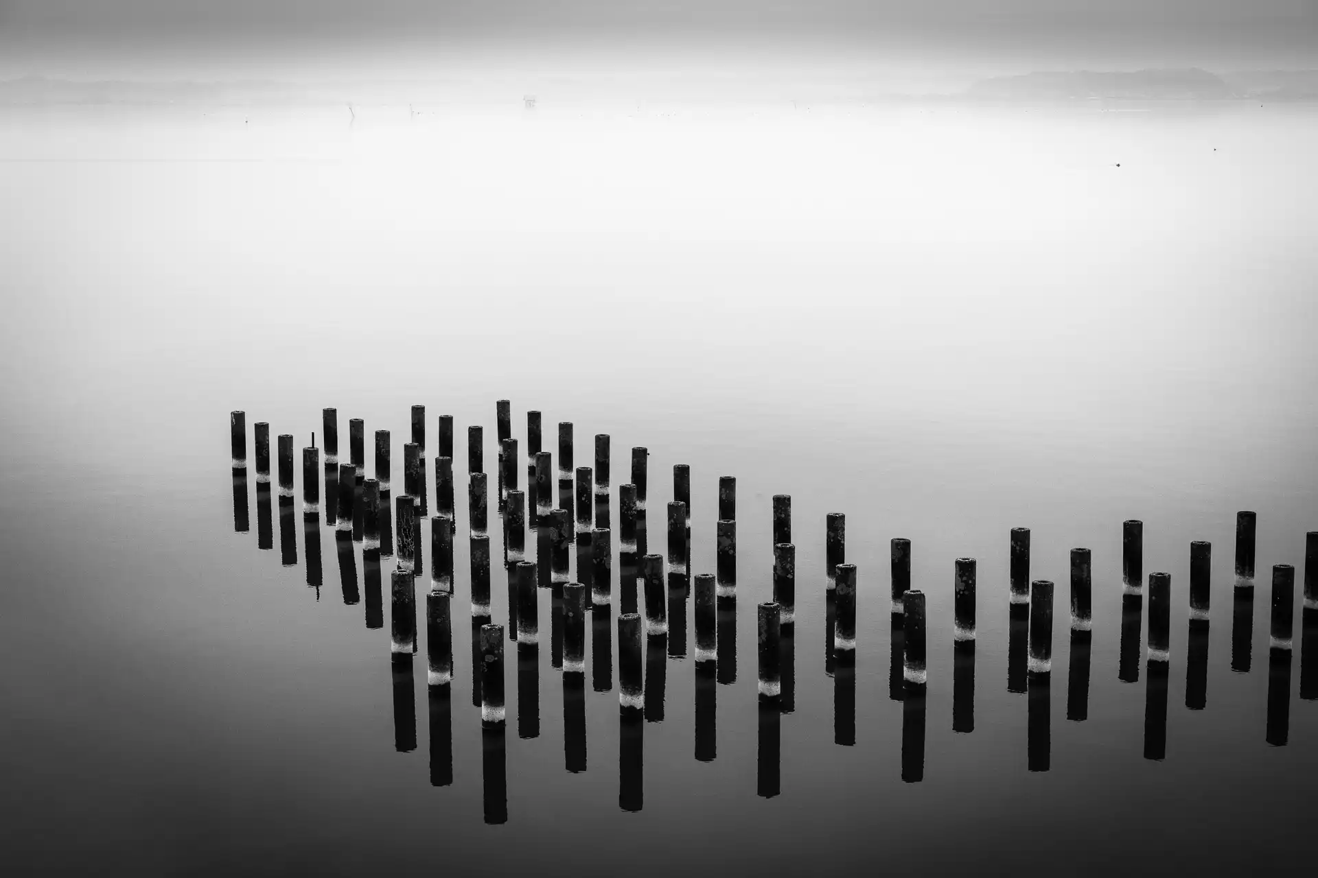 Landscape - 23