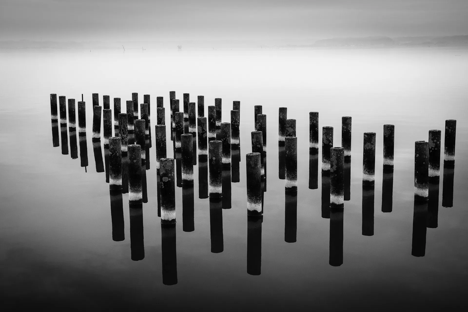 Landscape - 25