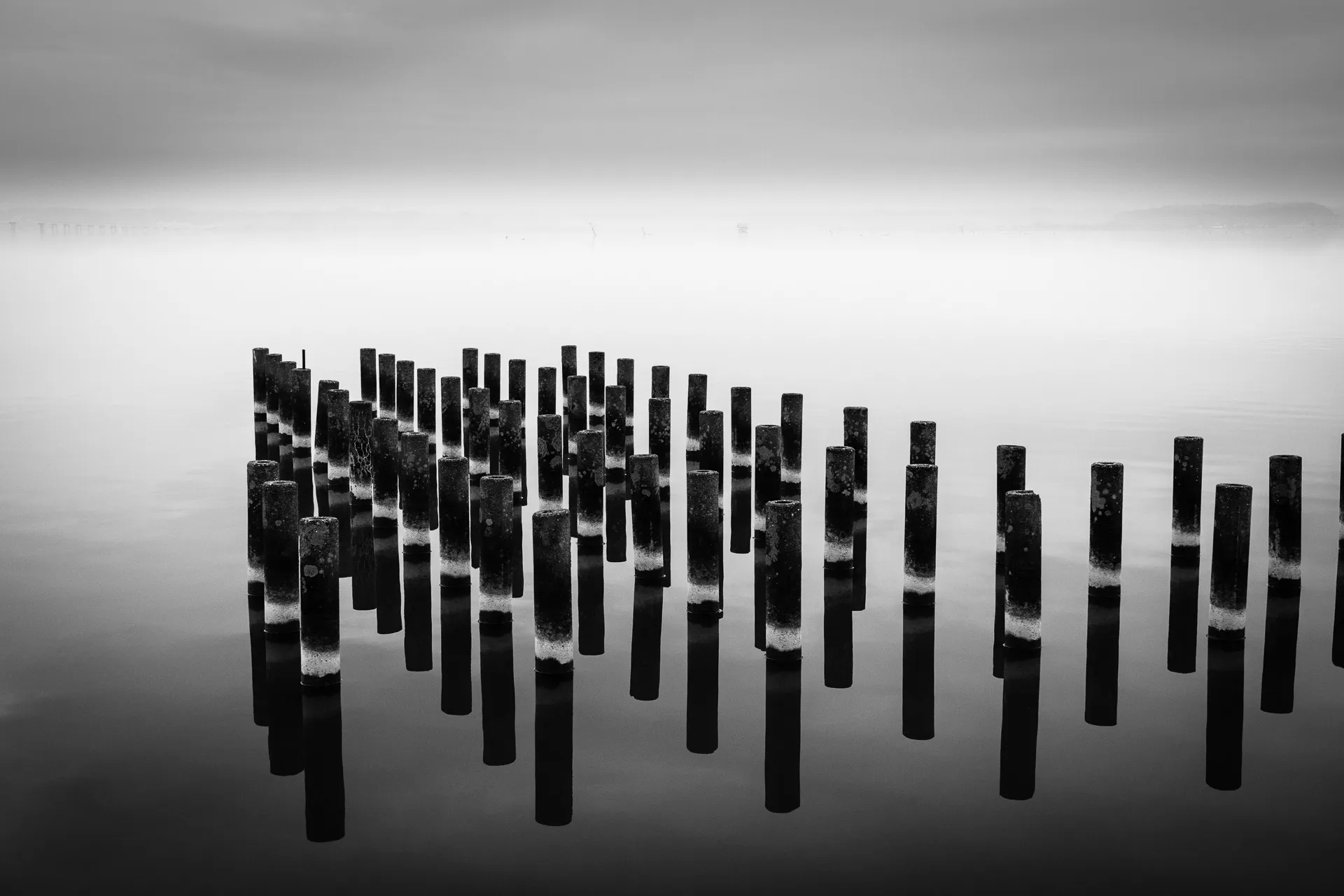 Landscape - 26
