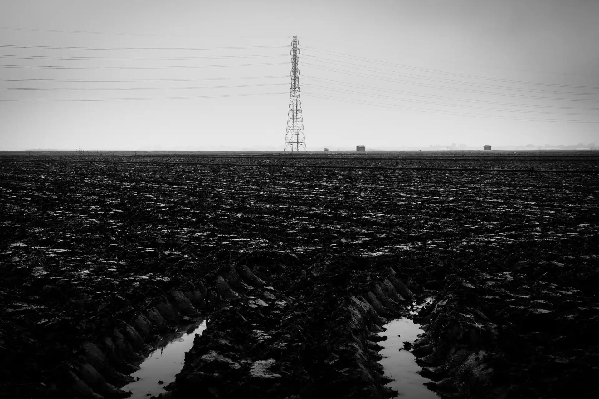 Landscape - 27